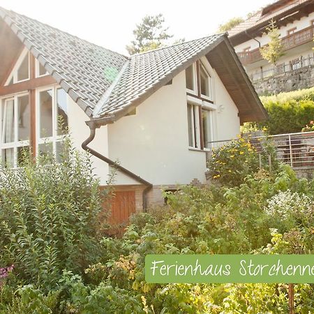 Ferienwohnung Storchennest Mit E-Ladestation Waldshut-Tiengen Esterno foto