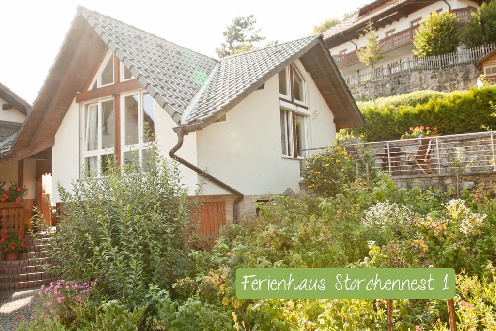 Ferienwohnung Storchennest Mit E-Ladestation Waldshut-Tiengen Esterno foto